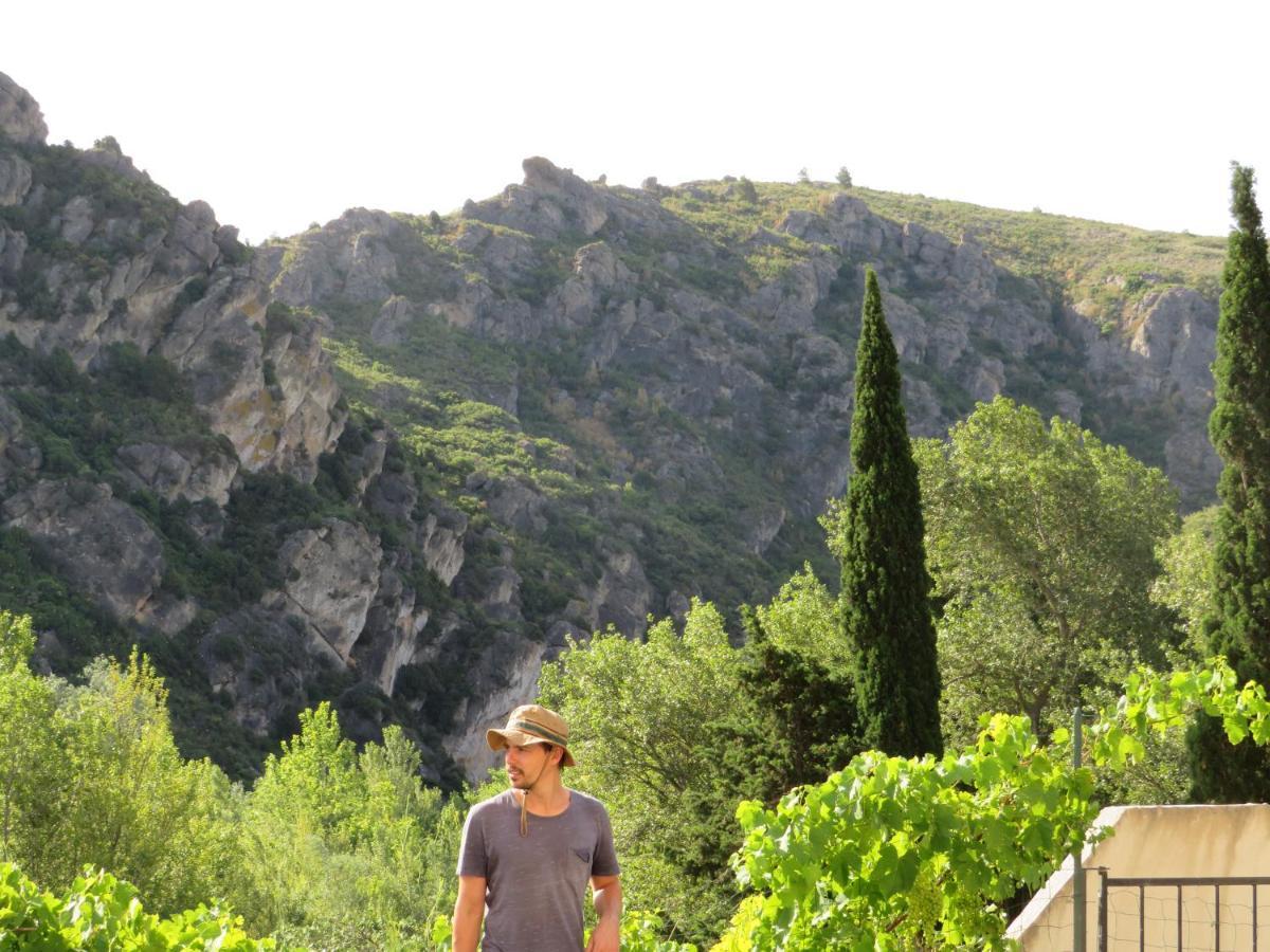 Villa Ripaud, Private River Swimming, Hot Tub Villeseque-des-Corbieres Экстерьер фото